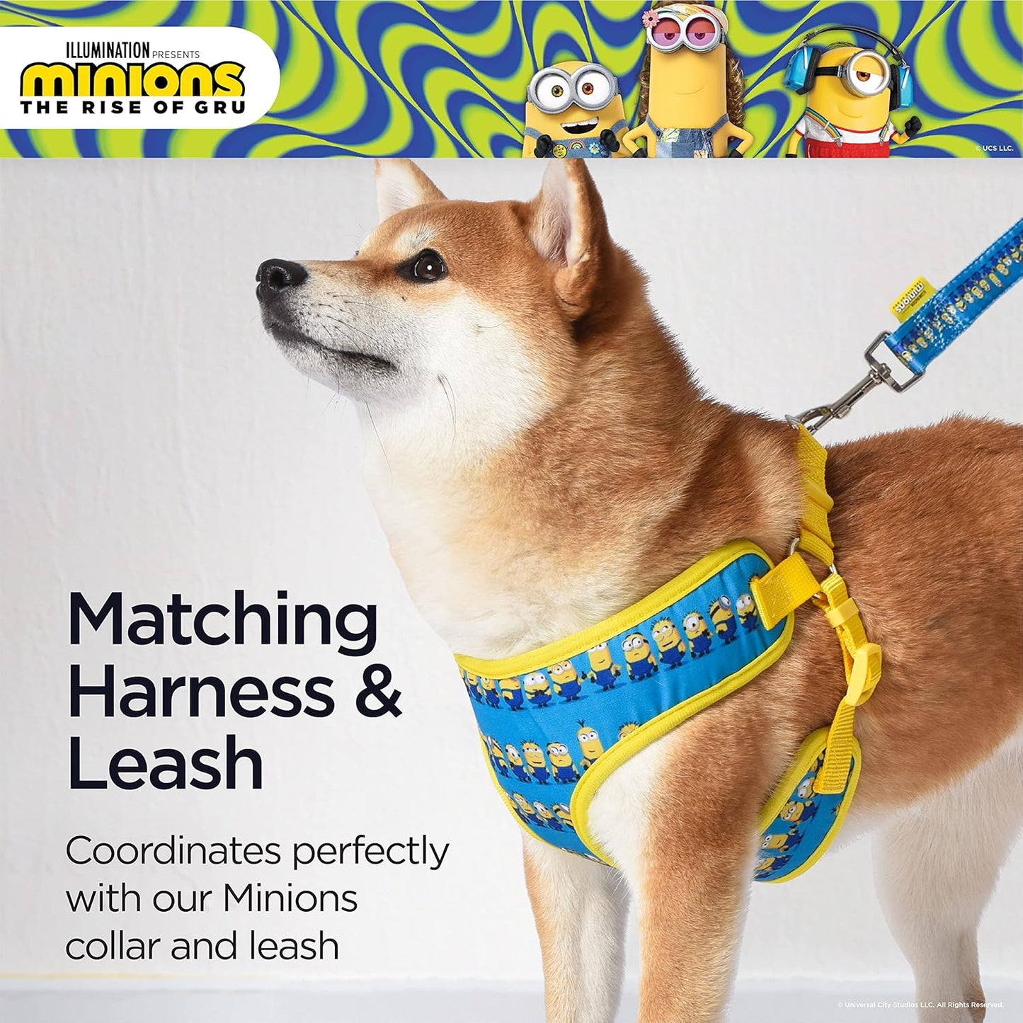 Dog Harness, Small, Blue  in a Row | Comfortable Mesh No-Pull Dog Harness| Gifts for  Fans and Their Pets | Officially Licensed Pet Product from Universal Studios