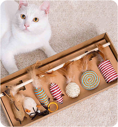 Interactive Cat Toy Set